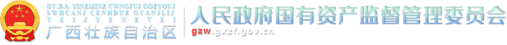  广西壮族自治区人民政府国有资产监督管理委员会网站